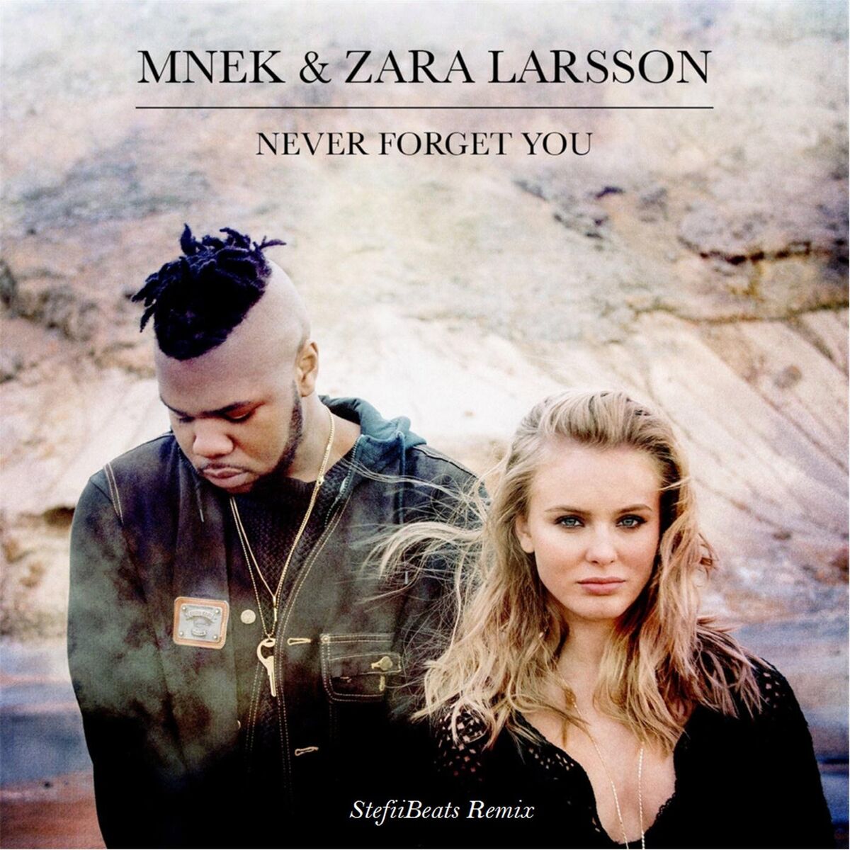 Обкладинка Mnek vs. Zara Larsson - Never Forget You (Stefiibeats Remix)