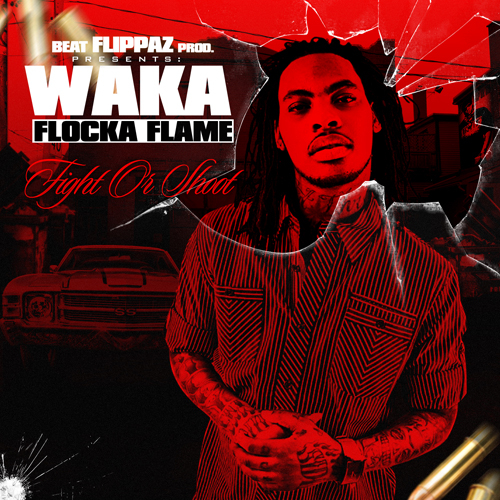 Обкладинка Waka Flocka Flame - Introduction Fight