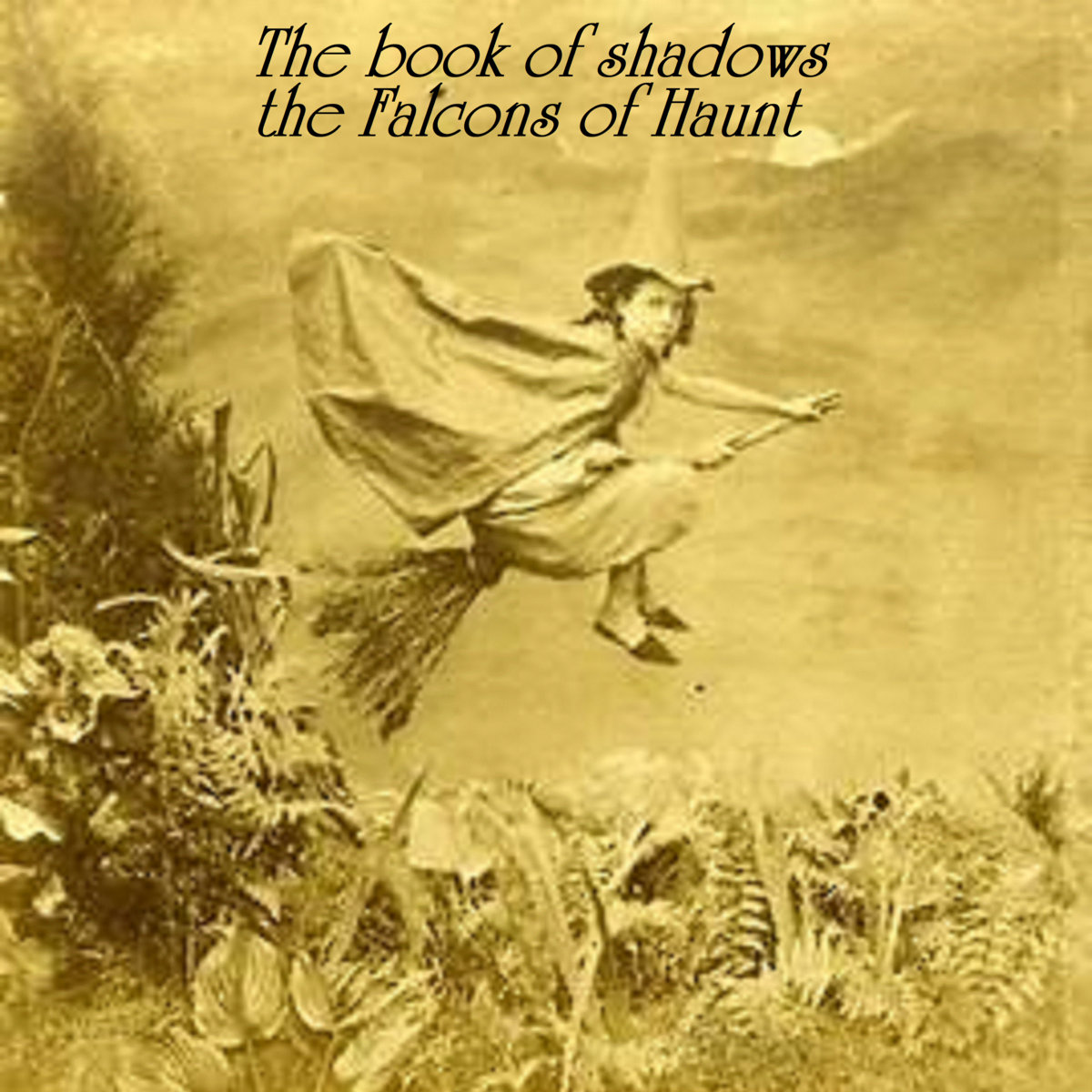 Обкладинка The Falcons of Haunt - The Book of Shadows (Phase 3)