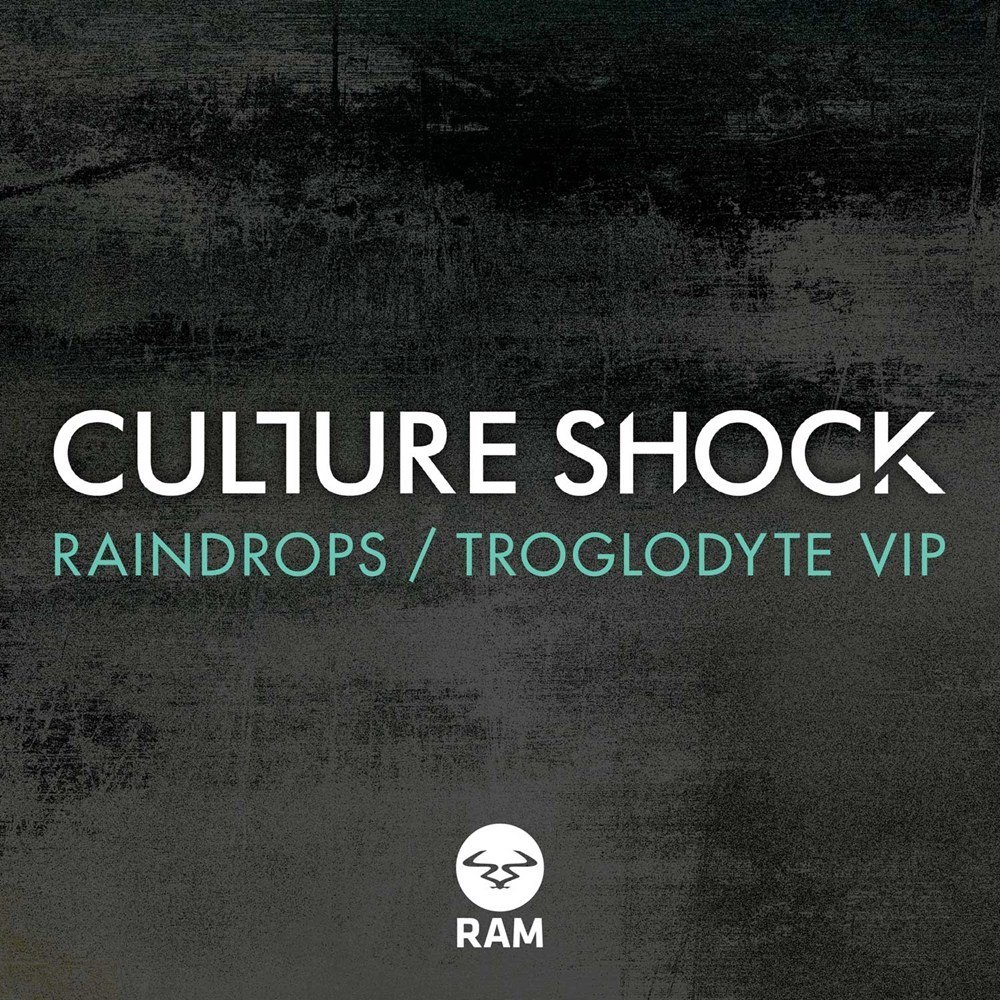 Обкладинка Culture Shock - Raindrops