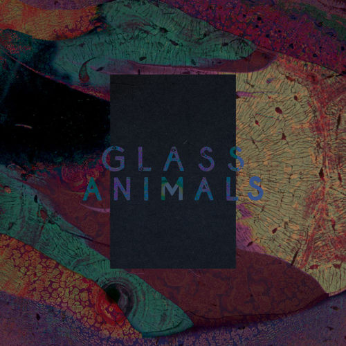 Обкладинка Glass Animals - Black Mambo
