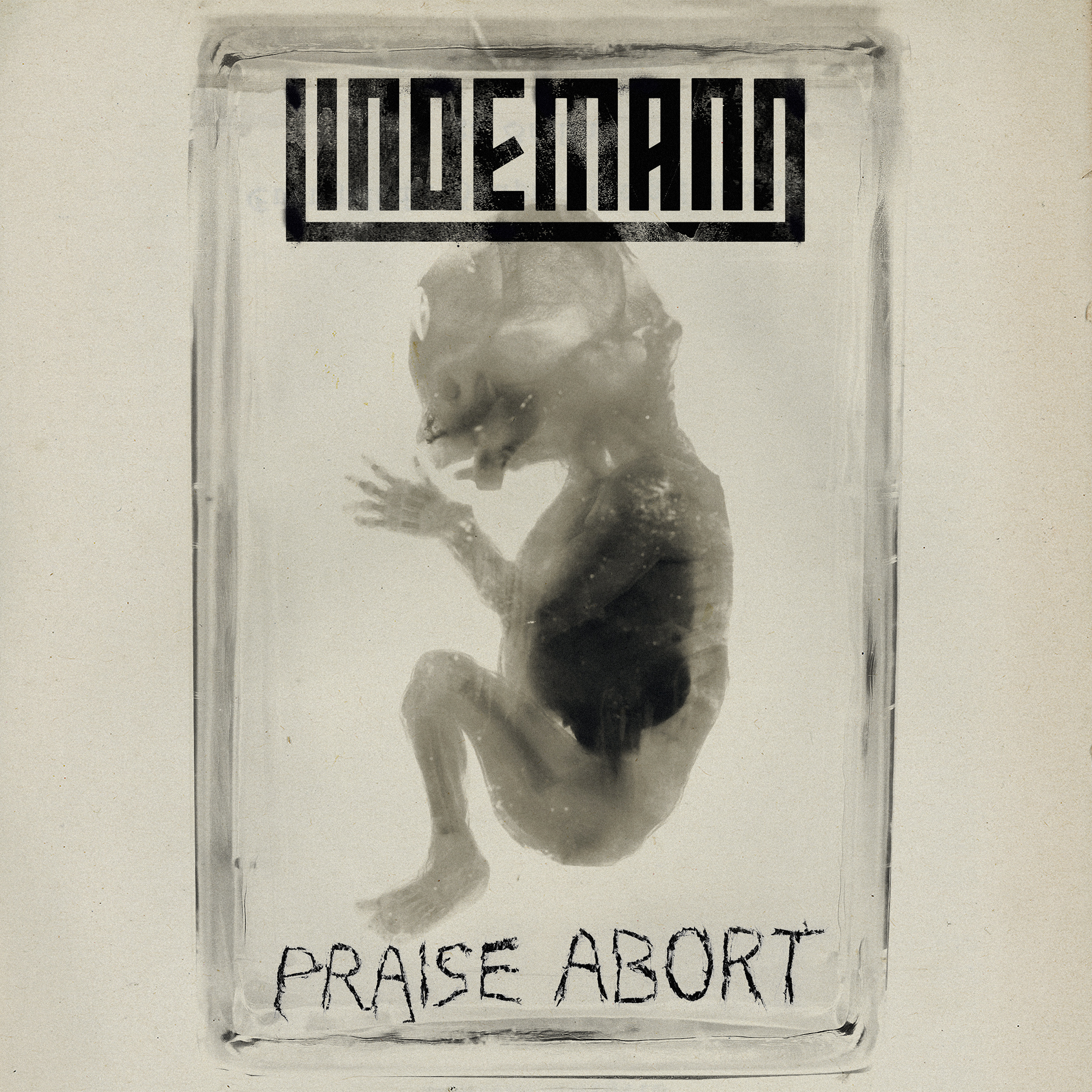 Обкладинка Lindemann - Praise Abort (Album Version)