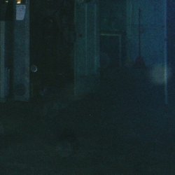 Shell of Light (Shlohmo Remix)
