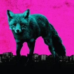 Wild Frontier (Instrumental)