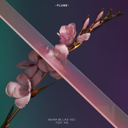 Never Be Like You (Feat. Kai)