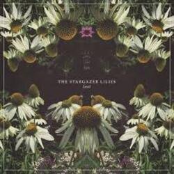 Stargazer