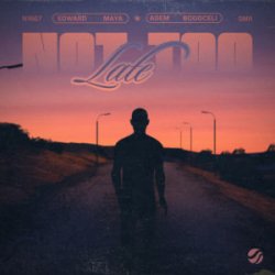 Edward Maya & Adem Bogoceli - Not Too Late
