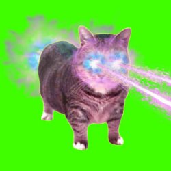 XertXetin - OIIA OIIA COSMIC CAT (Slowed)