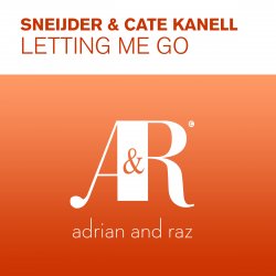 Letting Me Go (Original Mix)