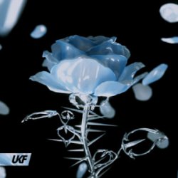 Synergy & RIENK - Stay