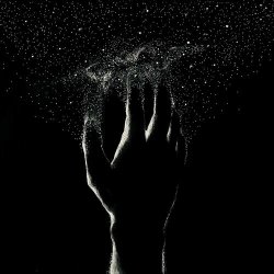 In The Stars