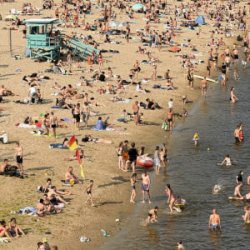 ͳ��� ʳ������ - �����