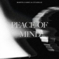Martin Garrix & Citadelle - Peace Of Mind