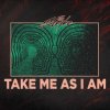 The Strike - Take Me As I Am