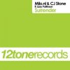 Milo.Nl & CJ Stone Feat. Lizzy Pattinson - Surrender (Original Mix)