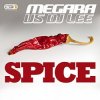 Megara vs. DJ Lee - Spice (Single Edit)