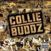 Cover Collie Buddz - Blind To You (Haters) Collie Buddz - Blind To You (Haters)