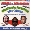 Cover Axwell and Bob Sinclar (Feat Ron Carroll) - What a wonderful world feat ron car Axwell and Bob Sinclar (Feat Ron Carroll) - What a wonderful world feat ron car