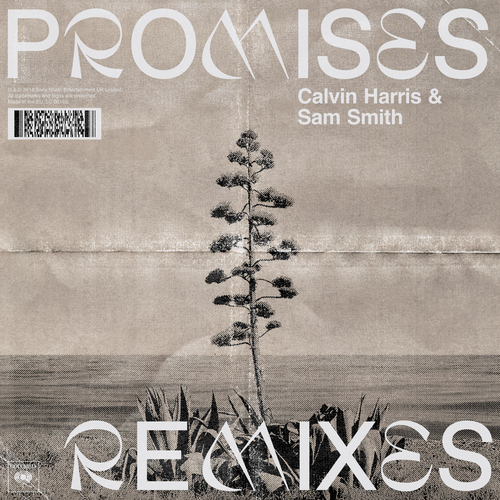 Обкладинка Calvin Harris;Sam Smith - Promises (David Guetta Remix)