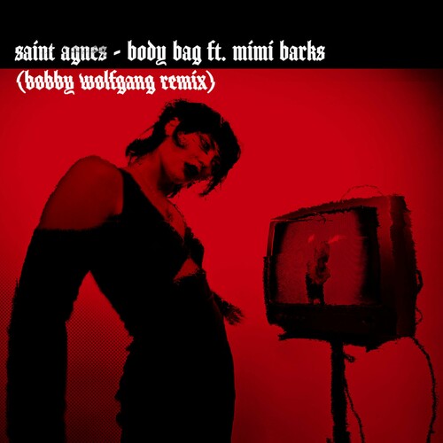 Обкладинка Saint Agnes feat. Mimi Barks - Body Bag (Bobby Wolfgang Remix)