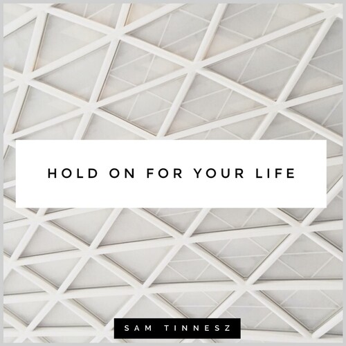 Обкладинка Sam Tinnesz - Hold on for Your Life (Acoustic)