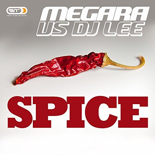 Обкладинка Megara vs. DJ Lee - Spice (Single Edit)