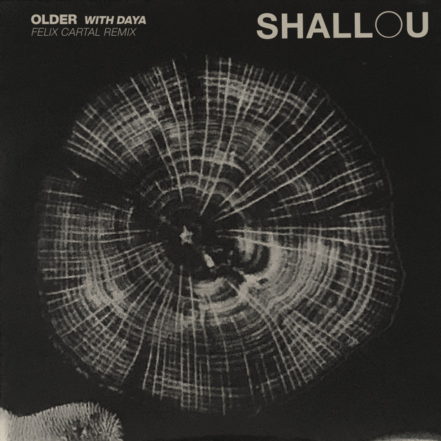 Обкладинка Shallou - Older (Felix Cartal Remix)