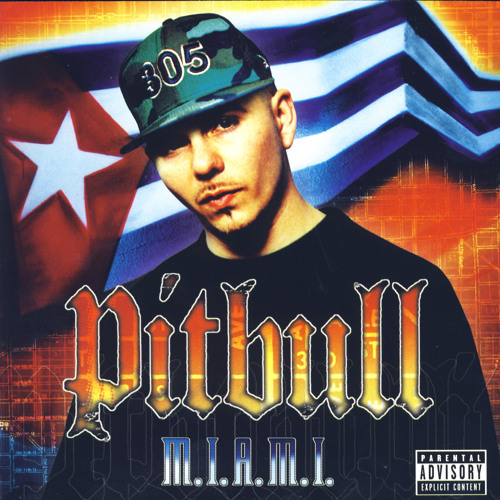 Обкладинка Pitbull ft. Lil Jon - Culo
