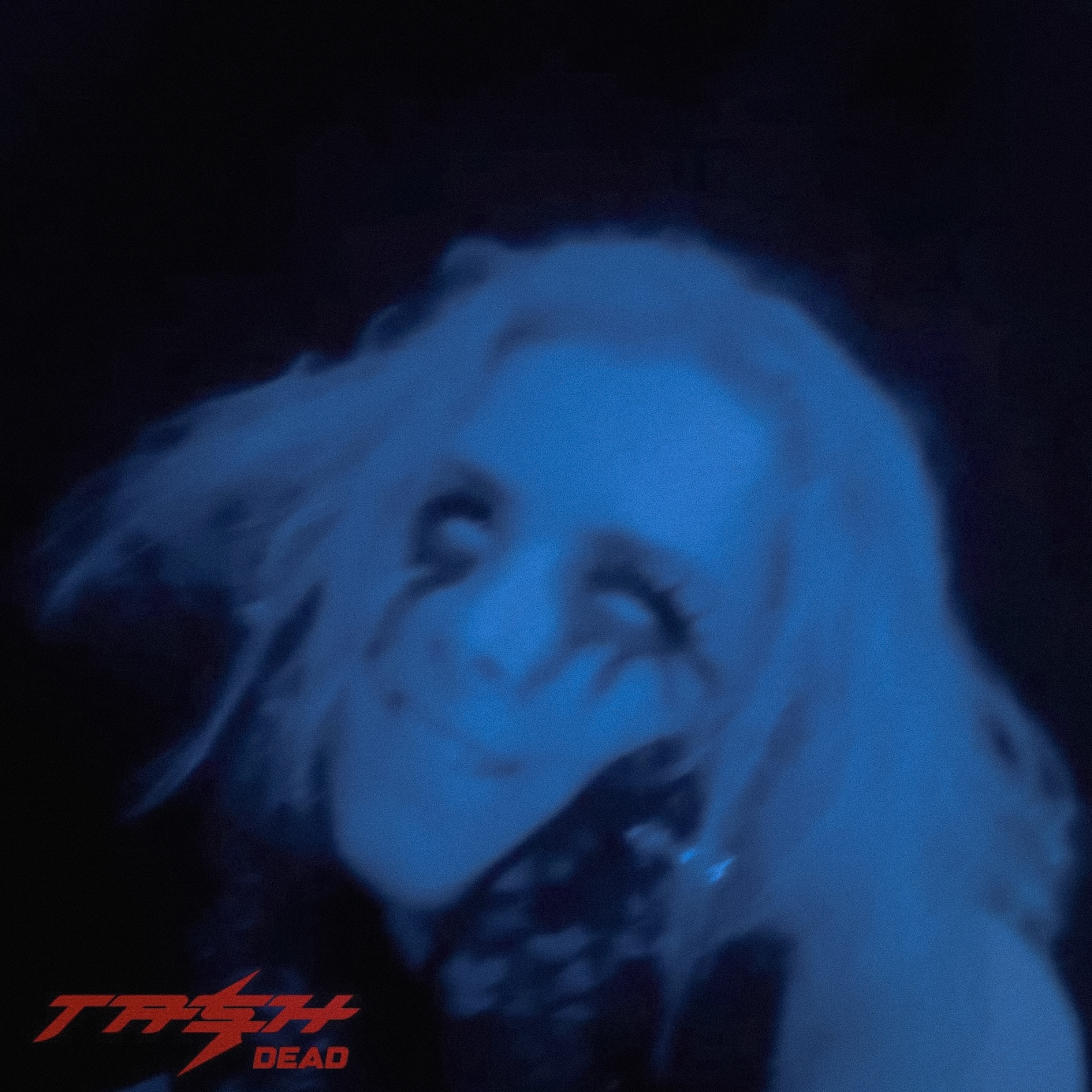 Обкладинка Dear Tash - Dead