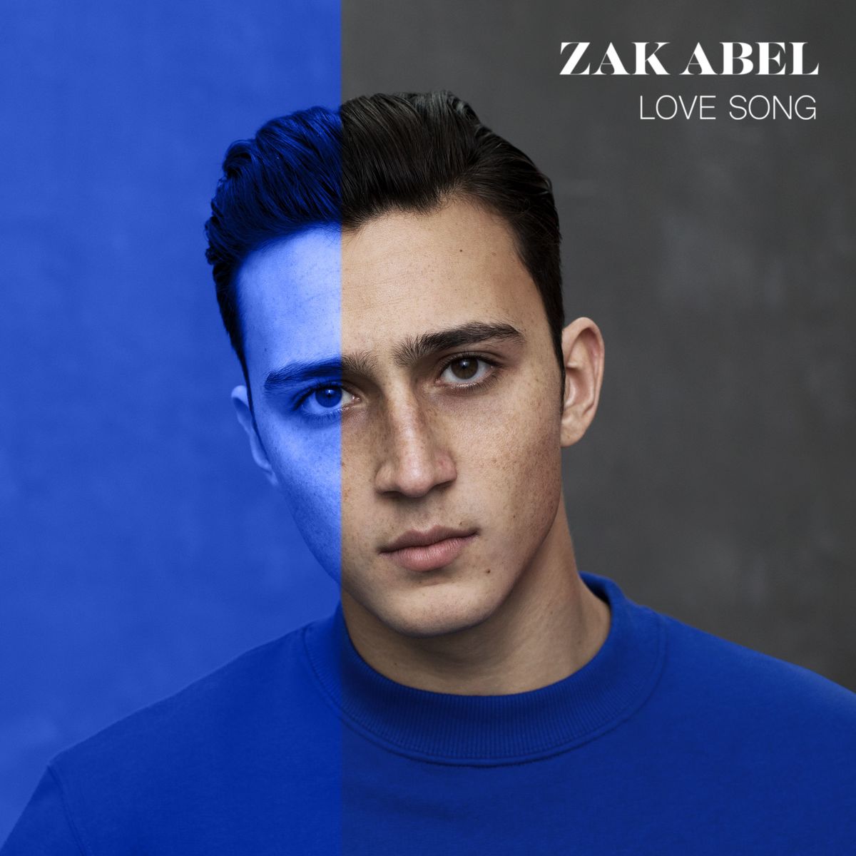 Обкладинка Zak Abel - Love Song