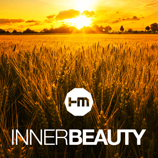  Hybrid Minds - Inner Beauty
