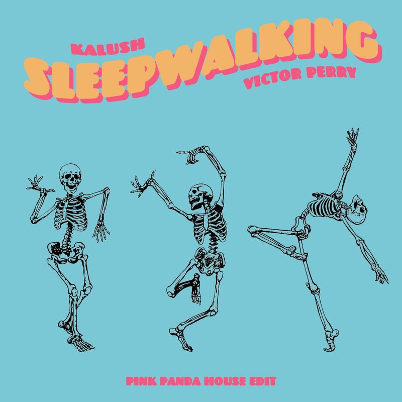  KALUSH & Victor Perry - Sleepwalking (Pink Panda House Edit)