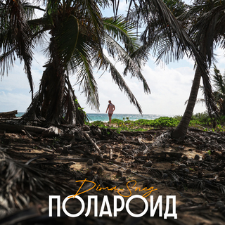  Dima Sneg - Полароид (Remix)