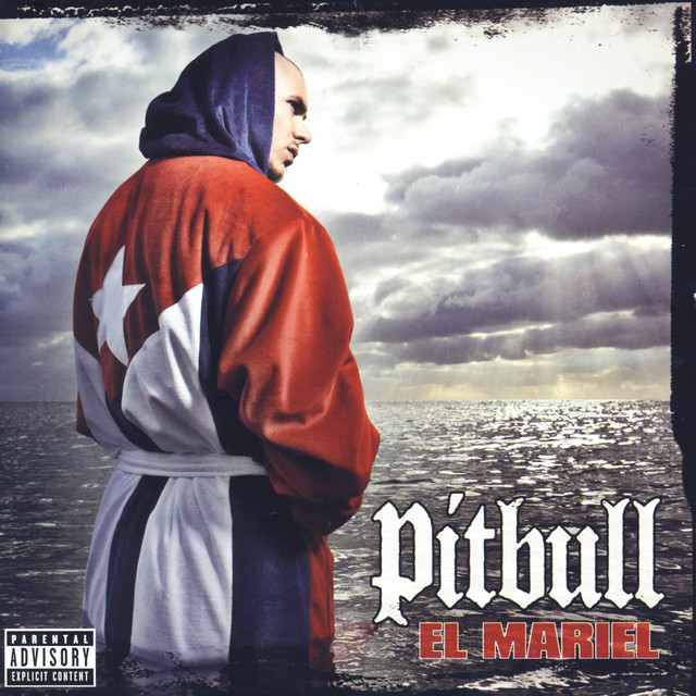  Pitbull - Hey You Girl