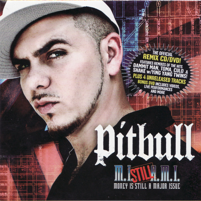  Pitbull ft. Lil' Flip - Dammit Man (Remix)