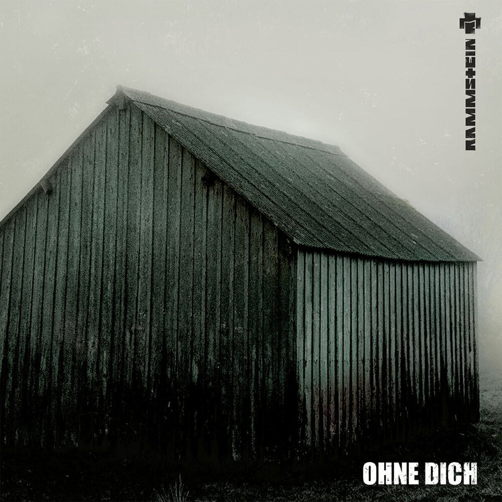  Rammstein - Ohne Dich