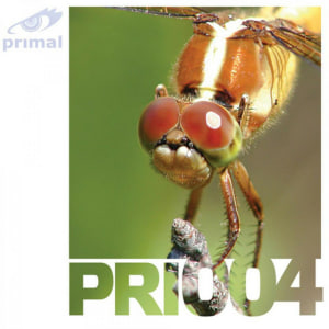  R-Tem - Voiceless (Z05 Mix)