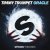 Cover Timmy Trumpet - Oracle (Extended Mix)