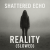 Cover Shattered Echo - Reality (Slowed)