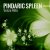 Cover Pindaric Spleen - Moonlite Longing