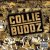 Cover Collie Buddz - Blind To You (Haters)