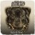 Обкладинка Dogg Master - Let Your Body Move