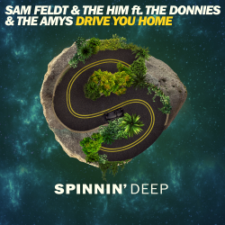 Drive You Home (Original Mix)