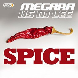 Spice (Single Edit)