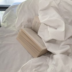 ���� � ���� - ������ �������� ���������