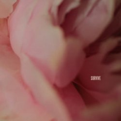 Lewis Capaldi - Survive