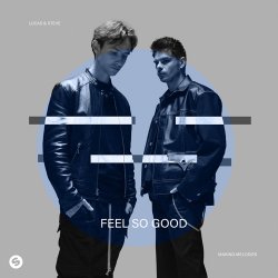 Lucas & Steve - Feel So Good