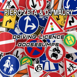 Driving Licence (Original Mix)