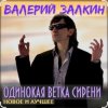 Валерий Залкин - Одинокая ветка сирени