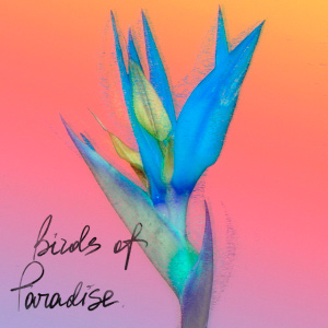  From:Ksusha & Yongue - Birds Of Paradise